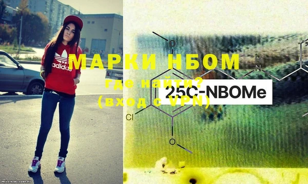шишки Абаза
