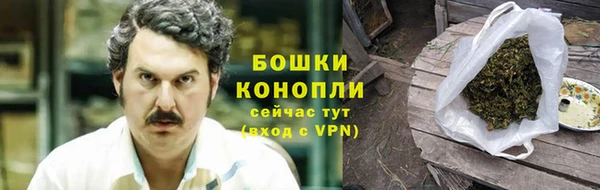 спайс Покачи