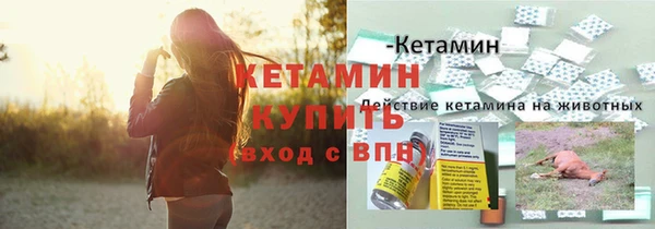 соль ск Переславль-Залесский