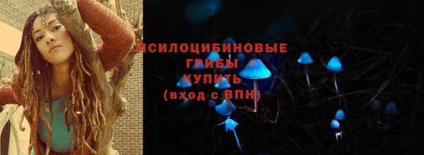 хмурый Пестово