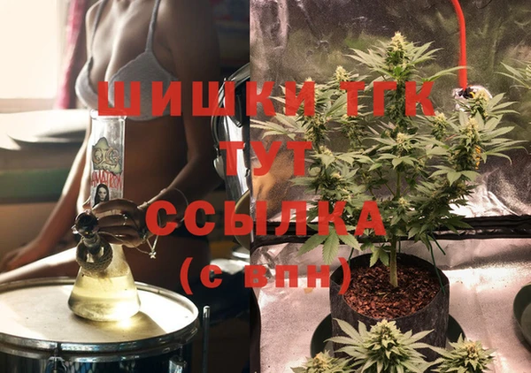 дмт Алзамай