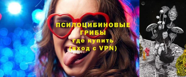 шишки Абаза