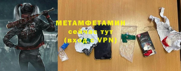 шишки Абаза
