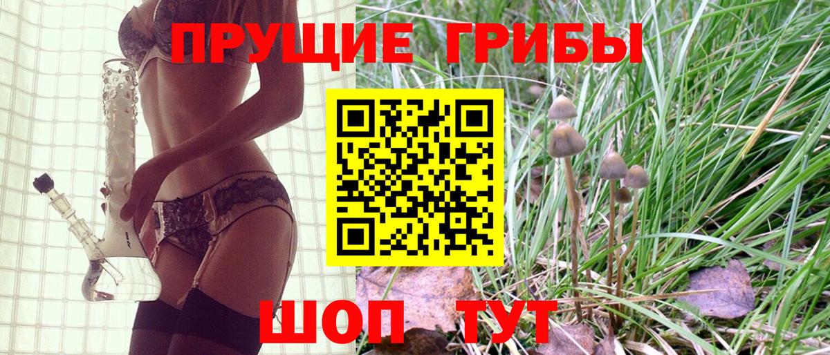 Галлюциногенные грибы Psilocybe Тихорецк