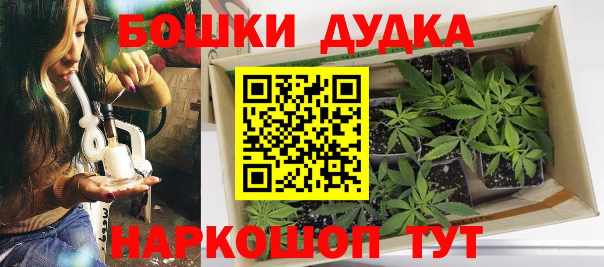 Тихорецк  Каннабис Bruce Banner  Марихуана сатива  Вход с VPN 
